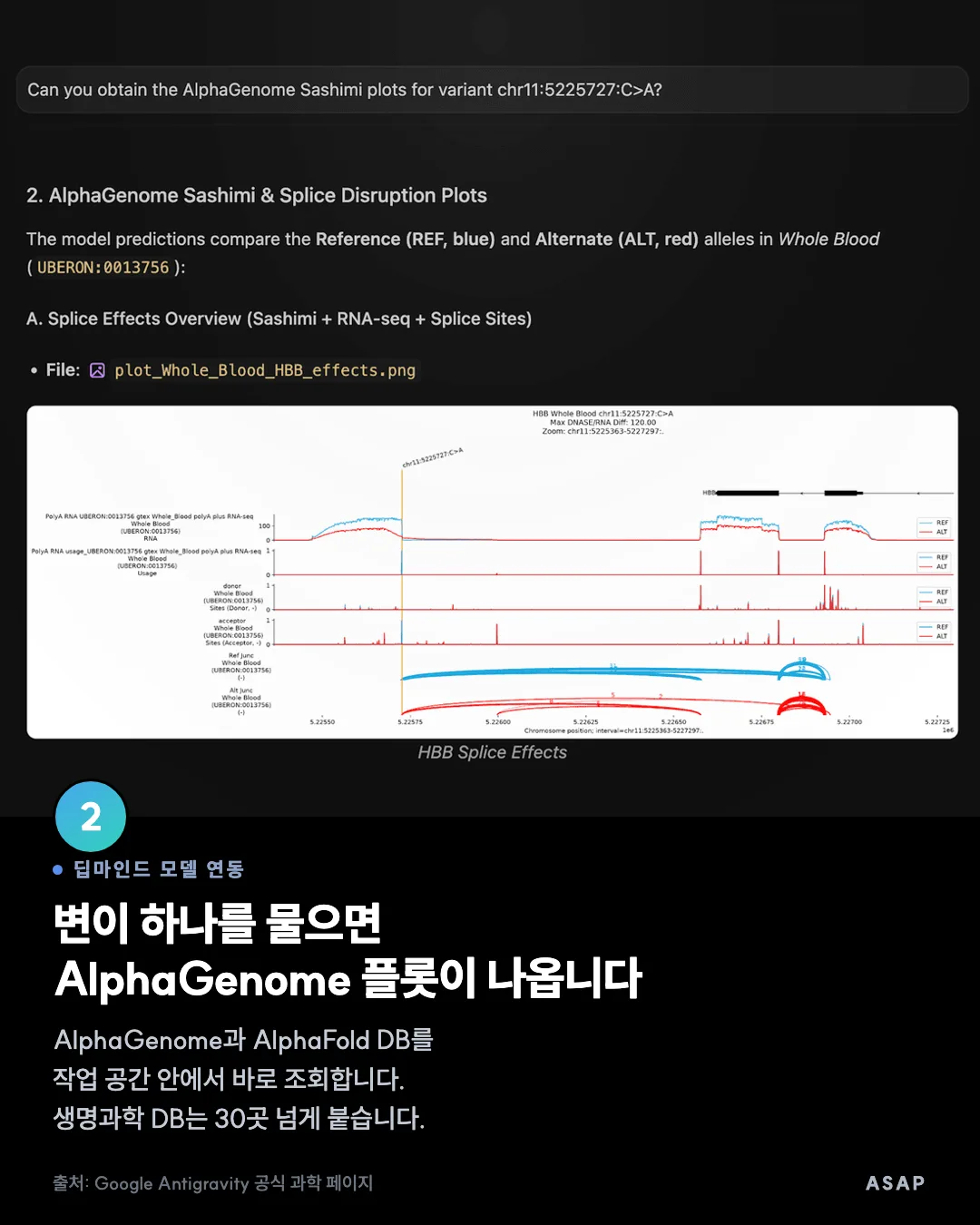 딥마인드 모델 연동 변이 하나를 물으면 AlphaGenome 플롯이 나옵니다 AlphaGenome과 AlphaFold DB를 작업 공간 안에서 바로 조회합니다. 생명과학 DB는 30곳 넘게 붙습니다. 출처: Google Antigravity 공식 과학 페이지